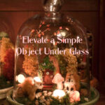 Elevate a Simple Object Under Glass
