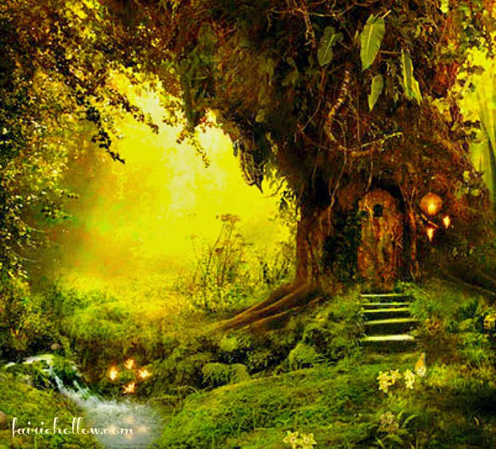 gnomist magical forest fairy tree door