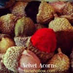 Velvet Acorns