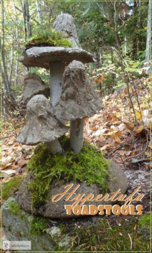 Hypertufa Mushrooms.Creating your Fairy Garden can begin by adding mushrooms that you can DIY|fairieholow.com