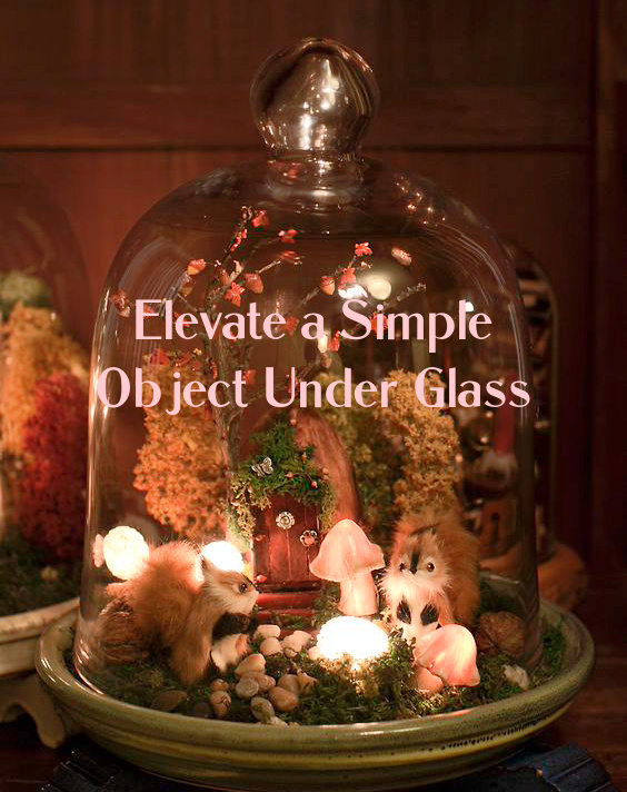 Elevate a Simple Object Under Glass